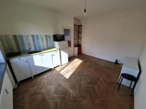 Pronájem bytu 1+kk, Brno - Veveří, Kounicova, 22 m2