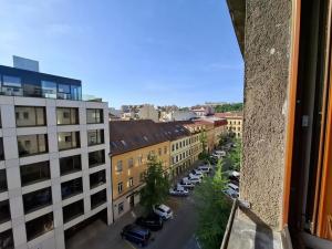 Pronájem bytu 1+kk, Brno - Veveří, Kounicova, 22 m2