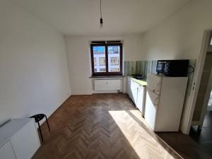 Pronájem bytu 1+kk, Brno - Veveří, Kounicova, 22 m2