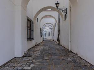 Prodej komerční nemovitosti, Vyškov - Vyškov-Město, Masarykovo náměstí, 1603 m2