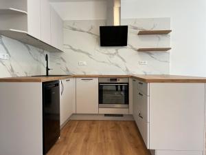 Pronájem bytu 1+kk, Olomouc - Hodolany, Elišky Krásnohorské, 36 m2