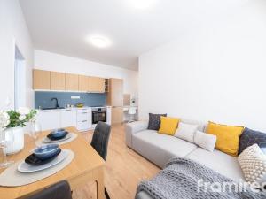 Prodej bytu 2+kk, Praha - Žižkov, Buchovcova, 49 m2