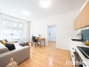 Prodej bytu 2+kk, Praha - Žižkov, Buchovcova, 49 m2