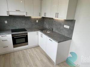 Pronájem bytu 1+1, Český Krumlov, Sídliště Plešivec, 40 m2