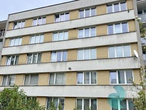 Pronájem bytu 1+1, Český Krumlov, Sídliště Plešivec, 40 m2