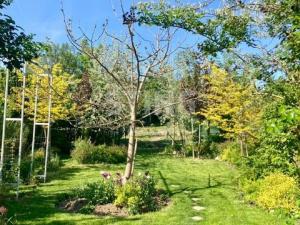 Prodej rodinného domu, Mikulov, Bezručova, 204 m2