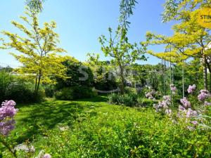 Prodej rodinného domu, Mikulov, Bezručova, 204 m2