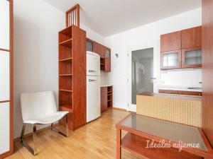 Pronájem bytu 1+kk, Praha - Nusle, U družstva Repo, 41 m2