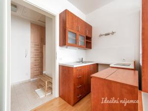 Pronájem bytu 1+kk, Praha - Nusle, U družstva Repo, 41 m2
