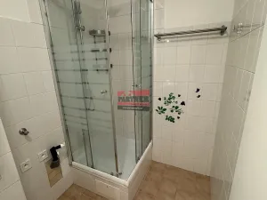 Prodej bytu 1+1, Sezimovo Ústí, Lipová, 46 m2
