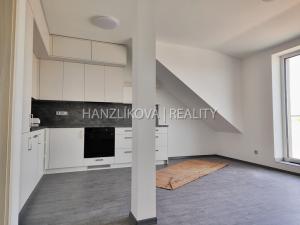 Pronájem bytu 2+kk, České Budějovice - České Budějovice 7, Krumlovská, 100 m2