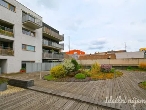 Pronájem bytu 2+kk, Brno - Královo Pole, Košinova, 56 m2
