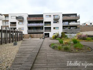 Pronájem bytu 2+kk, Brno - Královo Pole, Košinova, 56 m2