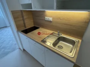 Pronájem bytu 1+1, Teplice - Trnovany, Antonína Sochora, 36 m2