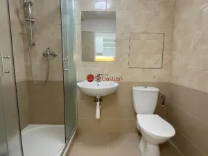 Pronájem bytu 1+1, Teplice - Trnovany, Antonína Sochora, 36 m2