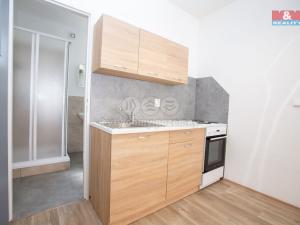 Pronájem bytu 1+kk, Jindřichův Hradec - Jindřichův Hradec III, Václavská, 24 m2