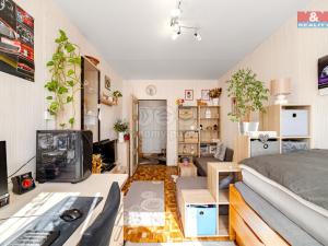 Prodej bytu 3+kk, Mělník, Sportovní, 66 m2