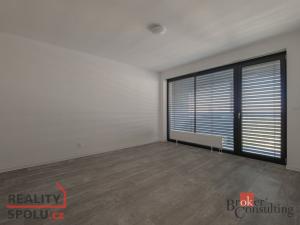 Pronájem bytu 2+kk, Plzeň, U Borského parku, 54 m2