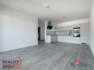 Pronájem bytu 2+kk, Plzeň, U Borského parku, 54 m2