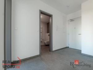 Pronájem bytu 2+kk, Plzeň, U Borského parku, 54 m2