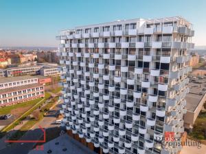 Pronájem bytu 2+kk, Plzeň, U Borského parku, 54 m2