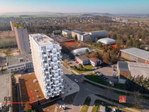 Pronájem bytu 2+kk, Plzeň, U Borského parku, 54 m2