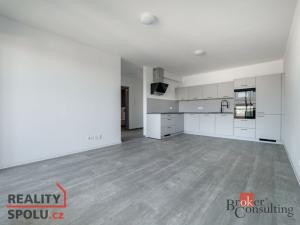 Pronájem bytu 2+kk, Plzeň, U Borského parku, 54 m2