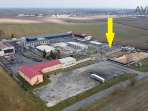 Pronájem výrobních prostor, Kojetín - Kojetín I-Město, náměstí Svobody, 1200 m2