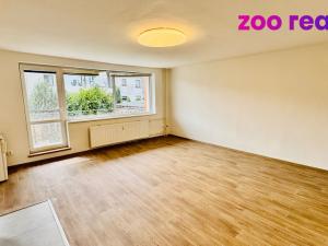 Pronájem rodinného domu, České Budějovice, Rybářská, 90 m2