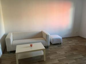 Pronájem bytu 2+kk, Opava - Předměstí, Těšínská, 45 m2