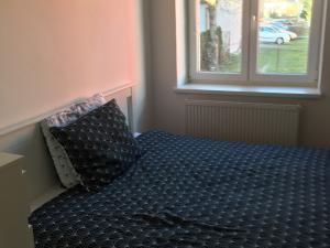 Pronájem bytu 2+kk, Opava - Předměstí, Těšínská, 45 m2