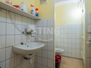 Prodej obchodního prostoru, Opava - Předměstí, Pivovarská, 110 m2
