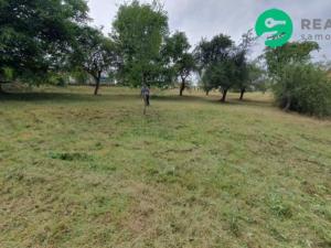 Pronájem zahrady, Otročiněves, 7000 m2