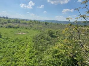 Prodej pozemku pro bydlení, Praha - Lipence, Oddechová, 950 m2