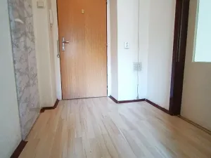 Prodej bytu 1+1, Ostrava, Čujkovova, 29 m2