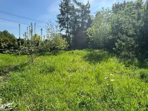 Pronájem rodinného domu, Ostrava, Mitrovická, 200 m2