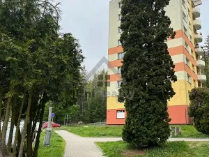 Prodej bytu 3+1, Loučovice, 72 m2