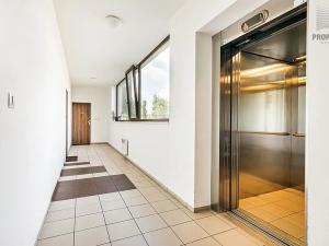 Prodej bytu 2+kk, Brno, Řípská, 58 m2