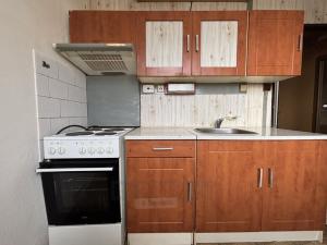 Prodej bytu 1+1, České Budějovice - České Budějovice 2, Dubenská, 31 m2