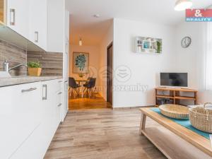 Prodej bytu 2+kk, Praha - Vinohrady, Pod Zvonařkou, 42 m2