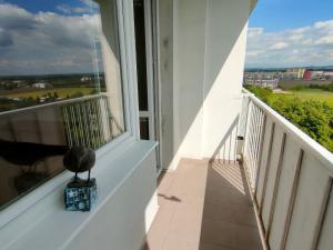 Pronájem bytu 3+1, Olomouc, Pionýrská, 63 m2
