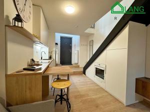 Pronájem bytu 1+kk, Brno, Koliště, 28 m2