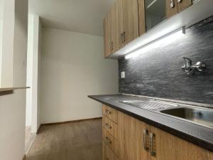 Prodej bytu 2+kk, Meziboří, Okružní, 44 m2