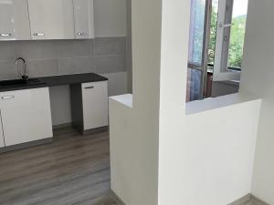 Pronájem bytu 2+kk, Ostrava, Bohumínská, 48 m2