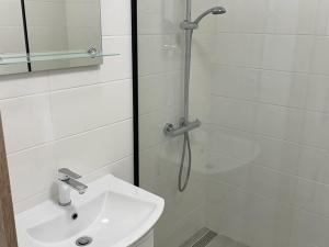 Pronájem bytu 2+kk, Ostrava, Bohumínská, 48 m2