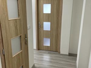 Pronájem bytu 2+kk, Ostrava, Bohumínská, 48 m2