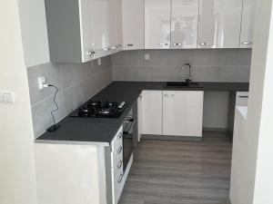 Pronájem bytu 2+kk, Ostrava, Bohumínská, 48 m2