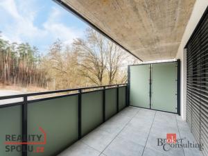 Pronájem bytu 1+kk, Brno - Jehnice, Kleštínek, 56 m2