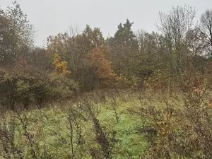 Prodej pozemku, Praha - Nové Město, 14747 m2