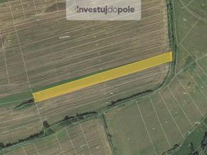 Prodej pole, Neurazy - Soběsuky, 4301 m2